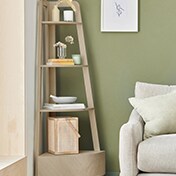 Ladder